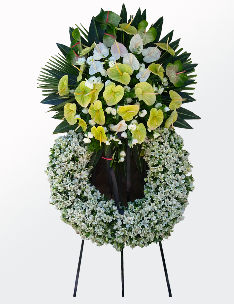 تاج گل گرد تاج گل گرد