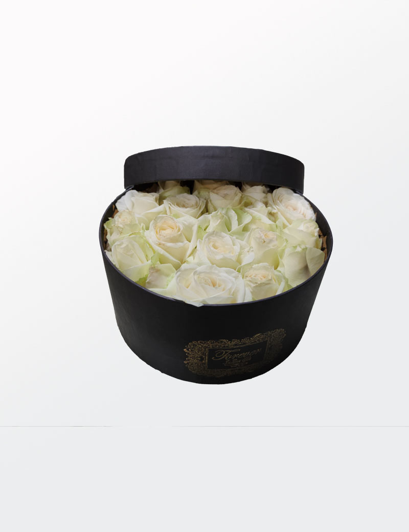 باکس جدید taj gol