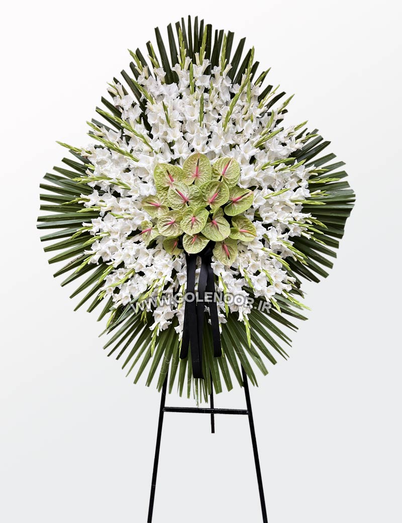 یک آنتوریوم گلایل