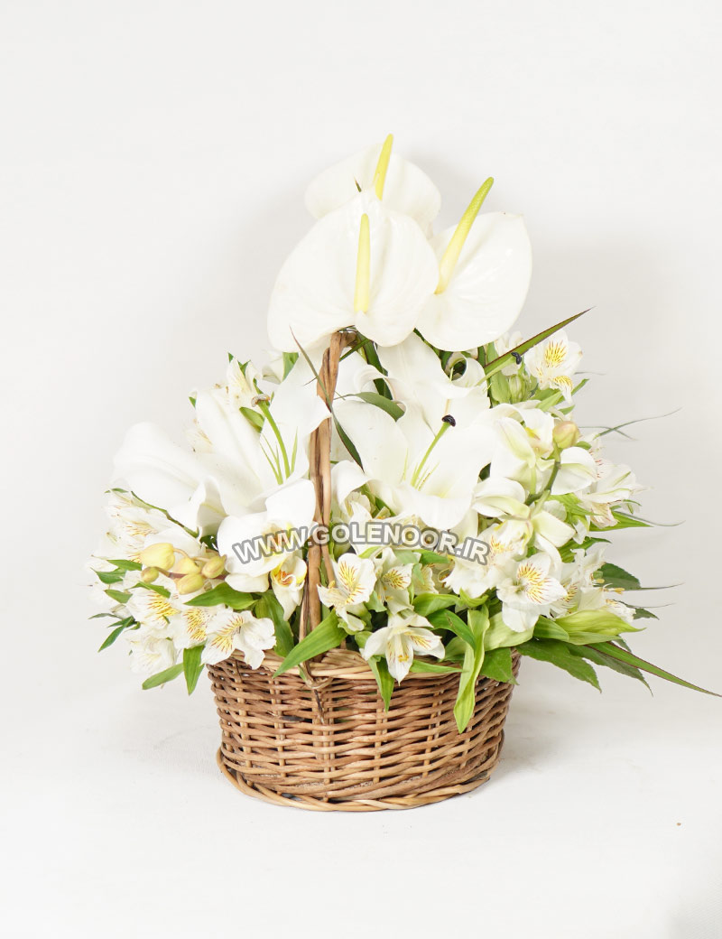 سبد قهوه ای گل سفید ۲
