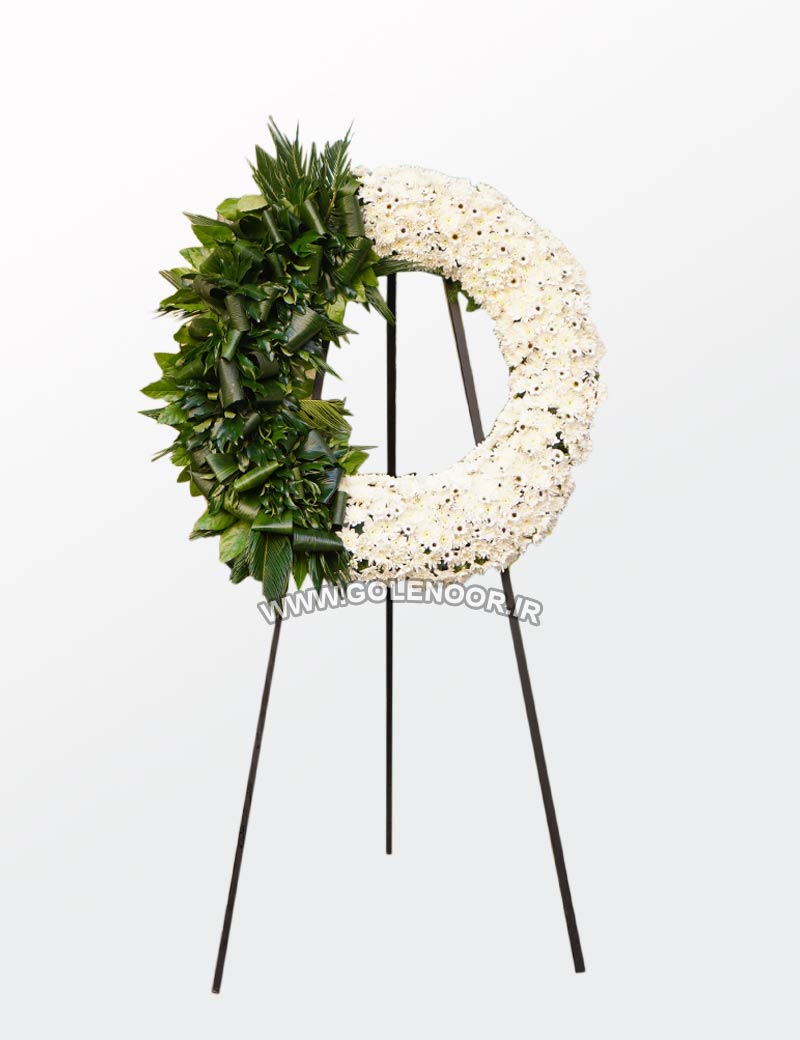 درباری یک طرف برف خرید گا