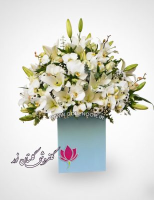 باکس گل خرید