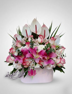 باکس گل زیبا