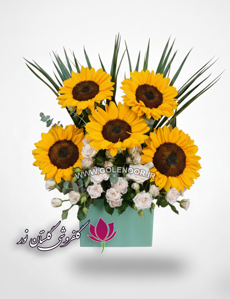 باکس-گل-مینیمال