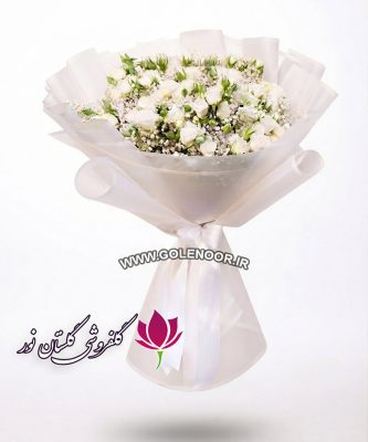 رز سفید